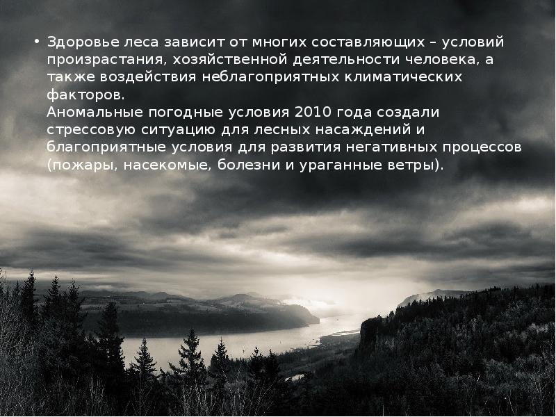 Цель охраны леса. Защита лесов от вредителей и болезней. Защитные леса. Защита леса от вредителей и болезней. Больной лес.