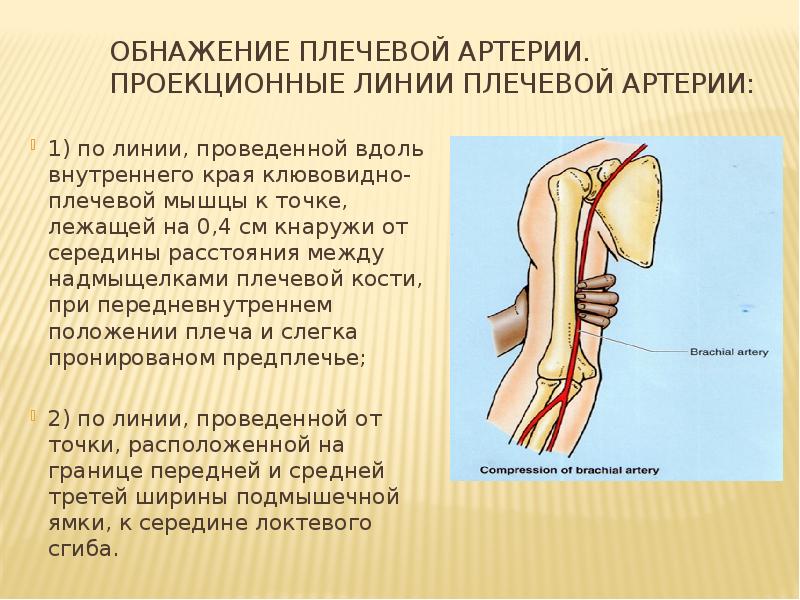 Вы точно человек?