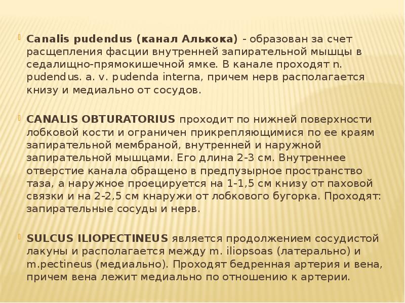 Прошло n. Алькоков канал. Канал Алькокка образован. Что проходит в канале Алькока. Каналис пудендус.