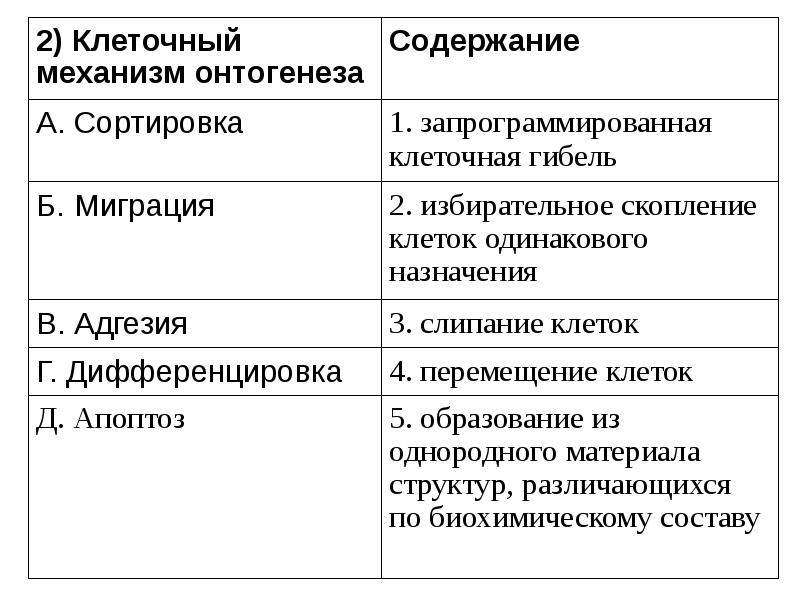 Клеточный механизм. Характеристика клеточных механизмов развития деление. Клеточные механизмы онтогенеза. Клеточные механизмы работающие в процессе онтогенеза. Перечислите клеточные механизмы онтогенеза.