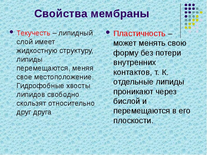 Физические свойства мембран