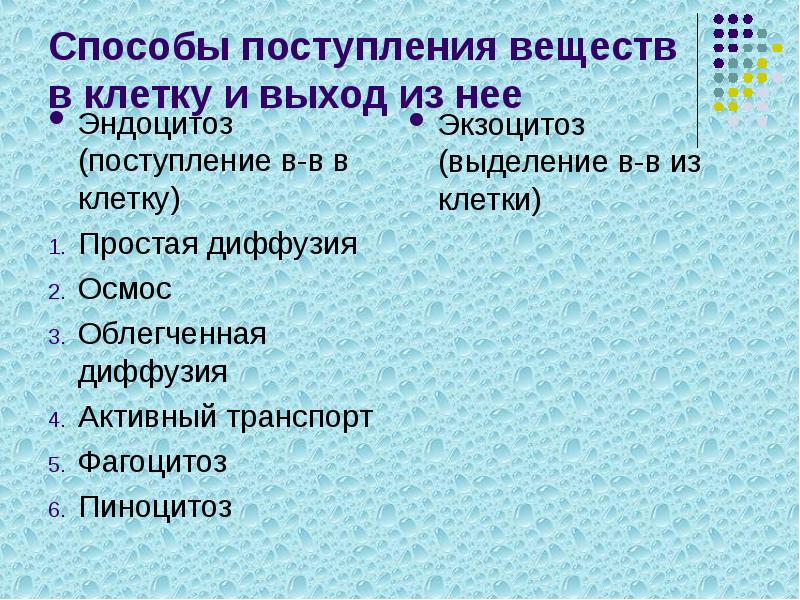 Поступление веществ в клетку схема