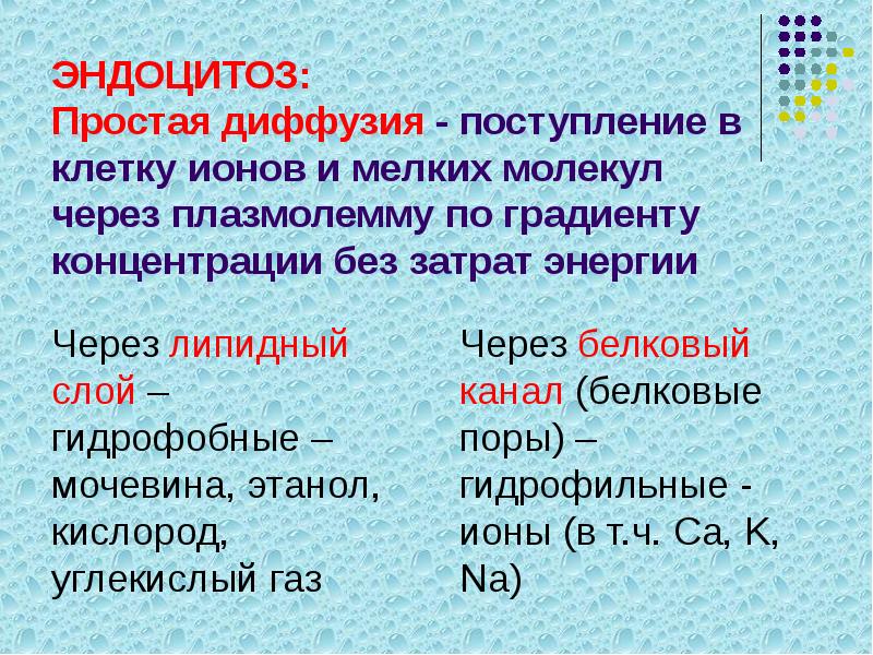 ЭНДОЦИТОЗ: Простая диффузия - поступление в клетку ионов и мелких молекул ЭНДОЦИТОЗ: Простая диффузия - поступление в клетку ионов и мелких молекул