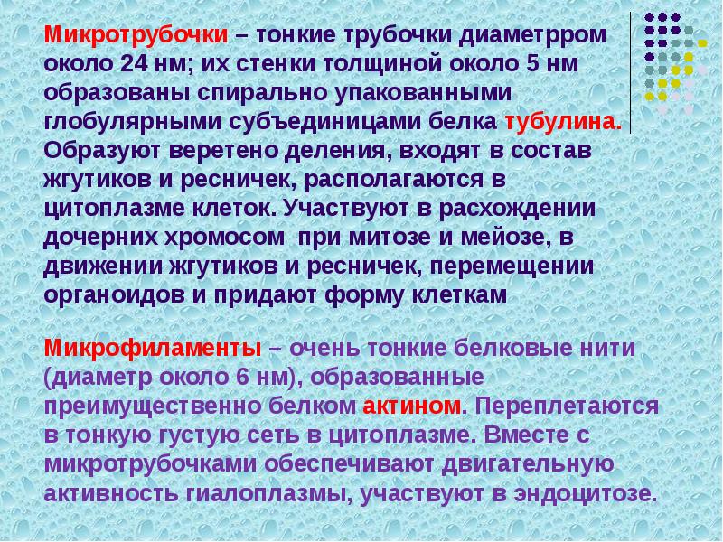 Микротрубочки – тонкие трубочки диаметрром около 24 нм; их стенки толщиной Микротрубочки – тонкие трубочки диаметрром около 24 нм; их стенки толщиной