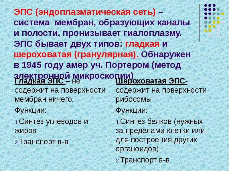 ЭПС (эндоплазматическая сеть) –система мембран, образующих каналы и полости, пронизывает гиалоплазму. ЭПС (эндоплазматическая сеть) –система мембран, образующих каналы и полости, пронизывает гиалоплазму.