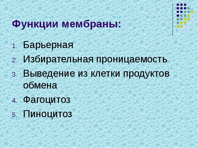 Функции мембраны:
Барьерная
Избирательная проницаемость
Выведение из клетки продуктов обмена
Фагоцитоз
Функции мембраны:
Барьерная
Избирательная проницаемость
Выведение из клетки продуктов обмена
Фагоцитоз