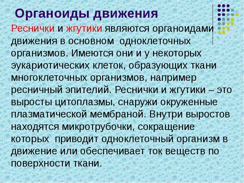 Органоиды движения
Реснички и жгутики являются органоидами движения в основном одноклеточных Органоиды движения
Реснички и жгутики являются органоидами движения в основном одноклеточных