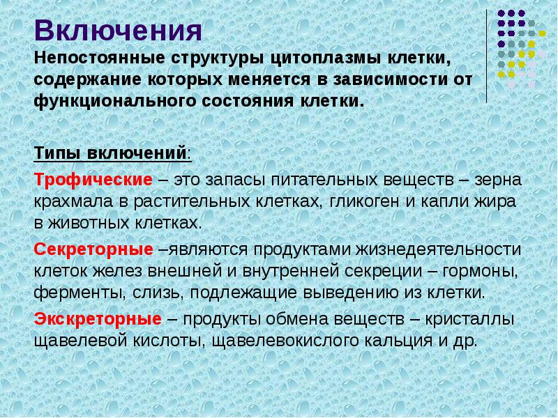 Сделайте вывод от чего зависит размещение. Виды включений клетки. Включения клетки строение и функции. Классификация включений клетки. Типы включений в клетке.