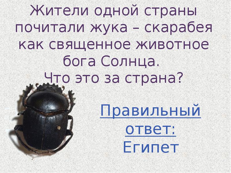 Где скарабеи. Интересные факты о Жуке скарабее. Священный скарабей интересные факты. Жук скарабей описание. Покажи жука скарабея.