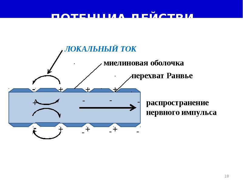 Ток переноса