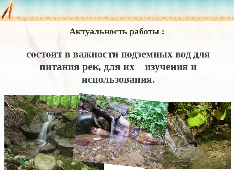 Проект родниковая вода