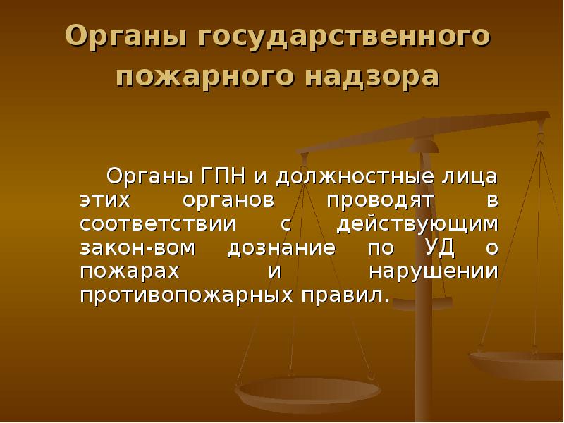 Должностные лица государственного пожарного надзора