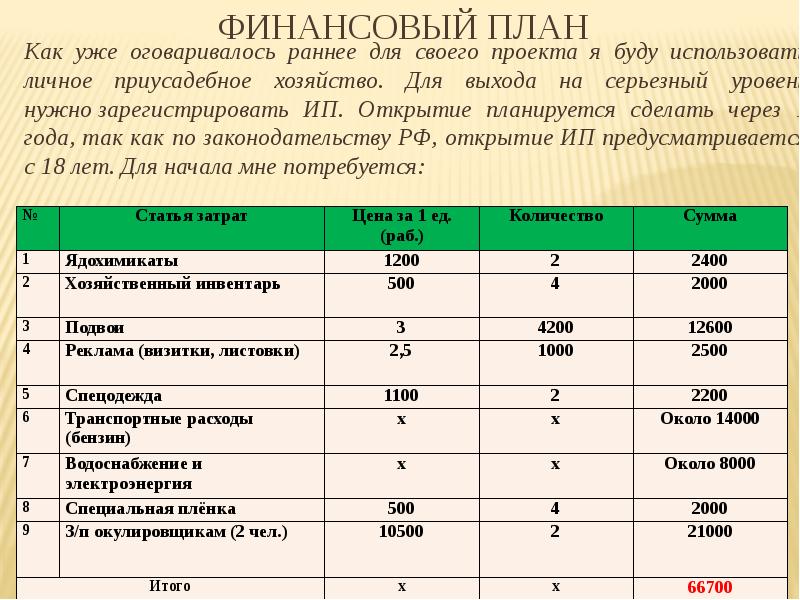 Проект финансовый план семьи