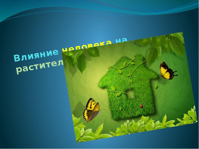 Влияние человека на растительный и животный мир Влияние человека на растительный и животный мир
