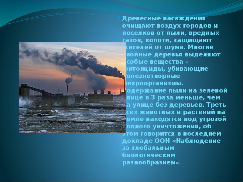 Древесные насаждения очищают воздух городов и поселков от пыли, вредных газов, Древесные насаждения очищают воздух городов и поселков от пыли, вредных газов,