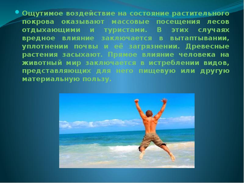 Ощутимое воздействие на состояние растительного покрова оказывают массовые посещения лесов отдыхающими Ощутимое воздействие на состояние растительного покрова оказывают массовые посещения лесов отдыхающими