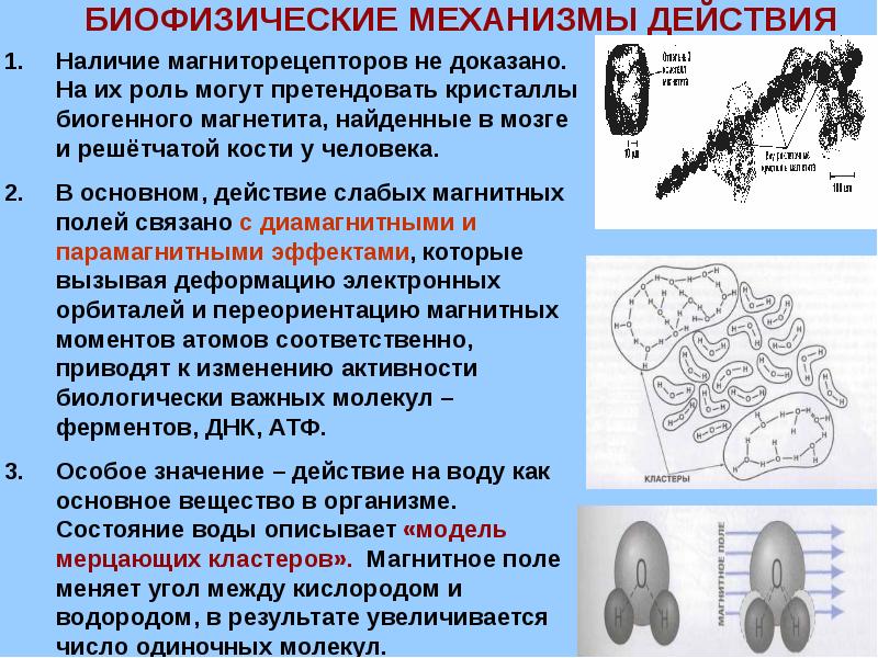 Магнитное поле в медицине презентация