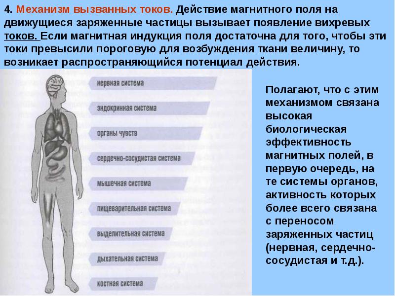 Применение магнитного поля в медицине проект