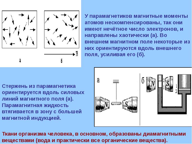 Магнитное поле магнитного момента атома