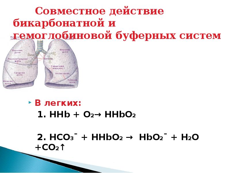 Легкое 1 кг. Hhbo2 это. Буферный раствор co2 h2o\. Легкие растворы. H+hbo2 hhbo2.