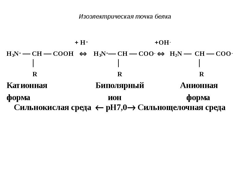 Белок катион. Изоэлектрическая точка белка цвиттер-ионы. Изоэлектрическая точка аминокислот PH>7. Формы аминокислот в изоэлектрической точке. Изоэлектрическая точка формула.