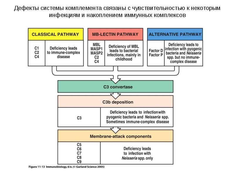 Дефект системы. Дефекты компонентов системы комплемента клинические формы. Дефект системы комплемента с1. Дефект система комплемента патогенез. Дефицит системы комплемента иммунология.