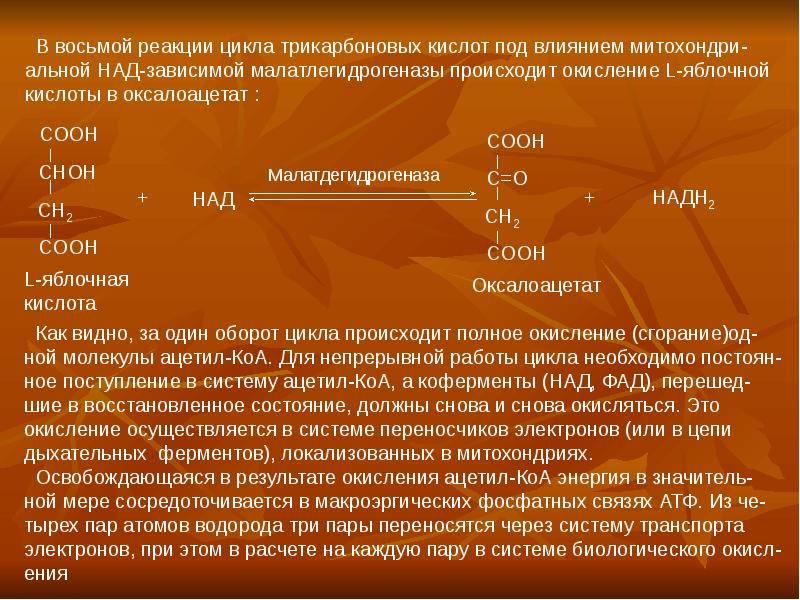 Процесс биологического окисления и дыхания осуществляется в. Связь цикла трикарбоновых кислот с дыхательной цепью. Окисление углеводов. Цикл трикарбоновых кислот дыхательная цепь. В цикле трикарбоновых кислот окисляется:.