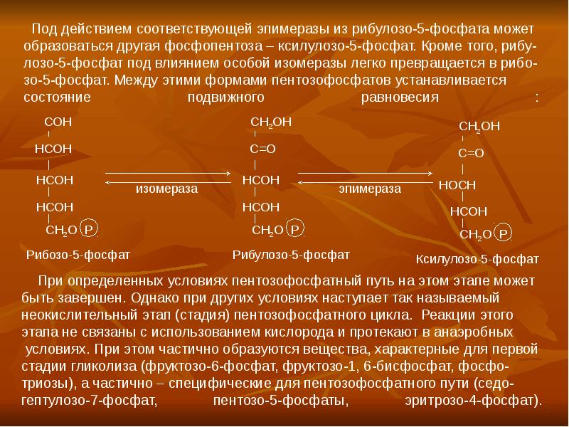 Соответствующие действия. Рибулозо 5 фосфат в ксилулозо 5 фосфат. Эпимераза реакция. Рибулозо 5 фосфат реакция. Изомеризация рибулозо-5-фосфата.