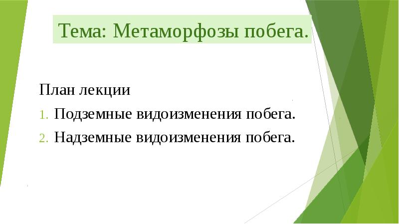 Тема: Метаморфозы побега. План лекции Подземные видоизменения побега. Надземные видоизменения побега.