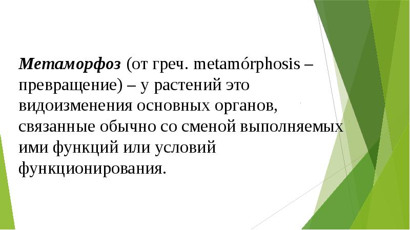 Метаморфоз (от греч. metamórphosis – превращение) – у растений это видоизменения