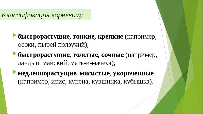 Классификация корневищ: быстрорастущие, тонкие, крепкие (например, осоки, пырей ползучий); быстрорастущие, толстые,