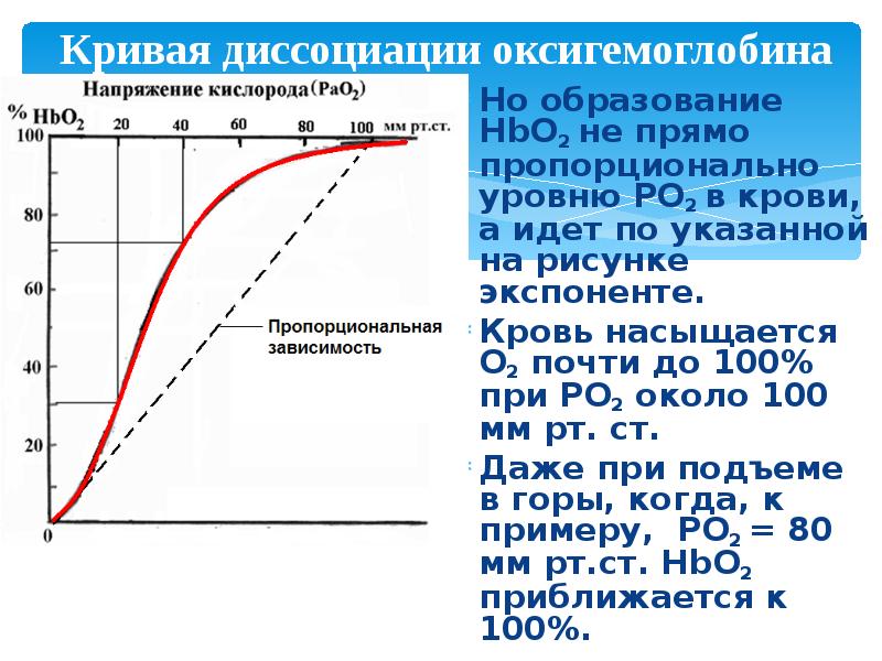 Диссоциация оксигемоглобина