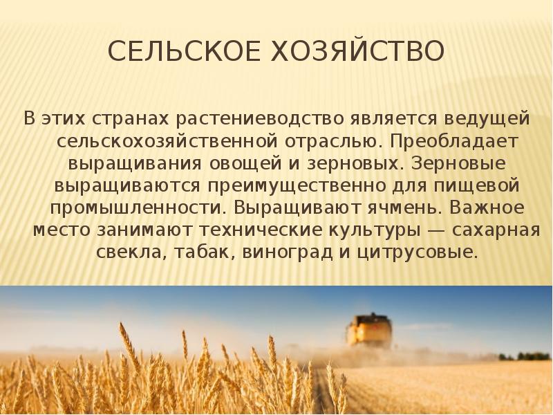 Растениеводством называется