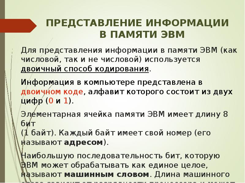 Представление чисел в эвм презентация