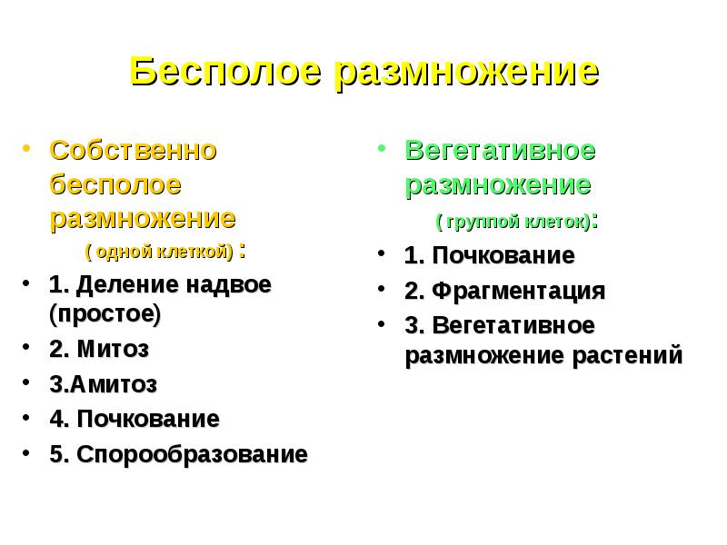 Бесполое размножение спорообразование пример. Бесполое размножение спорообразование пример