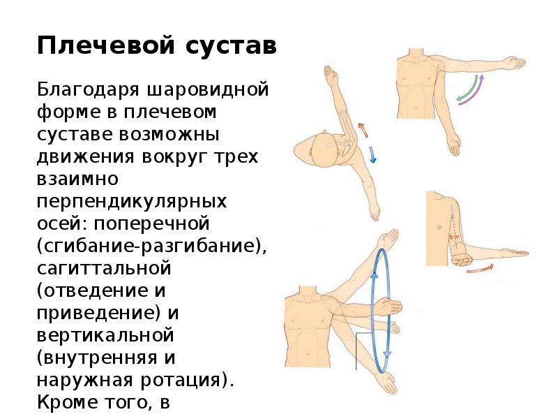 Диагнозы плечевых суставов. Движения в плечевом суставе. Оси движения плечевого сустава. Отведение в плечевом суставе. Движения в плечевом суставе отведение.