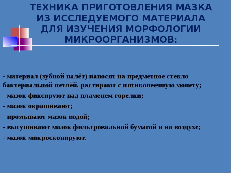 Bakteriologiya Klassifikaciya Bakterij Morfologiya Bakterij I Metody Eyo Izucheniya Prezentaciya Doklad Proekt