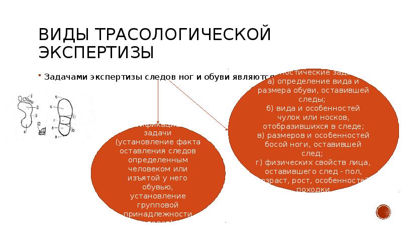 Трасологическая экспертиза презентация