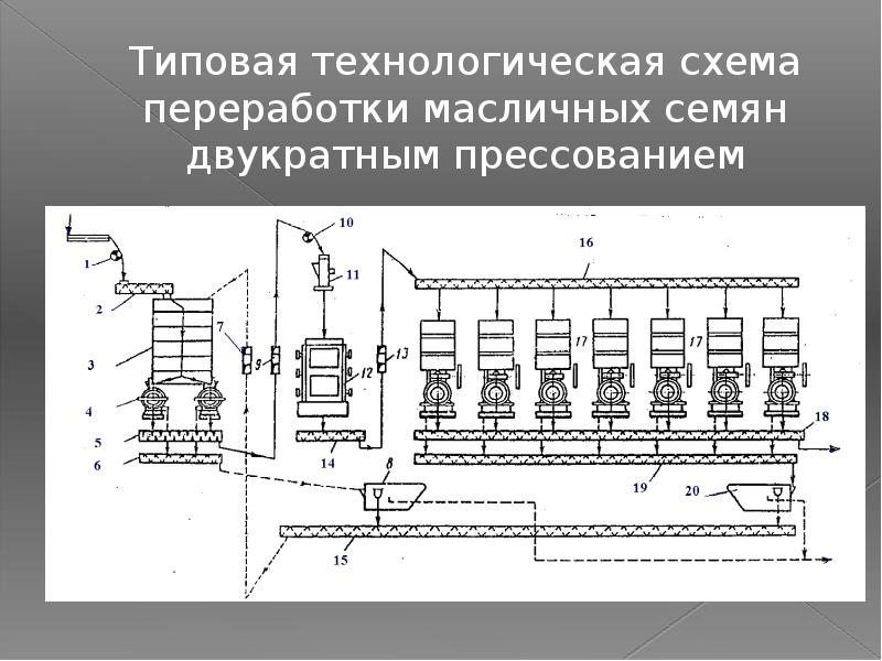 Схема производства рапсового масла