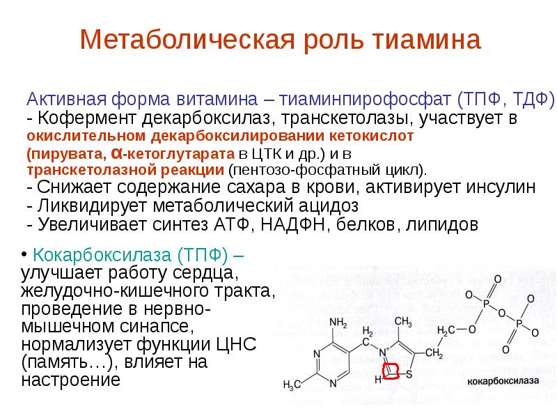 Контрольная работа по теме Витамины пиримидинового ряда (тиамин)