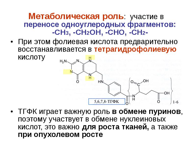 Обмен фолиевой кислоты. Структура фолиевой кислоты. Биологическая роль ТГФК. ТГФК функции. ТГФК витамин.