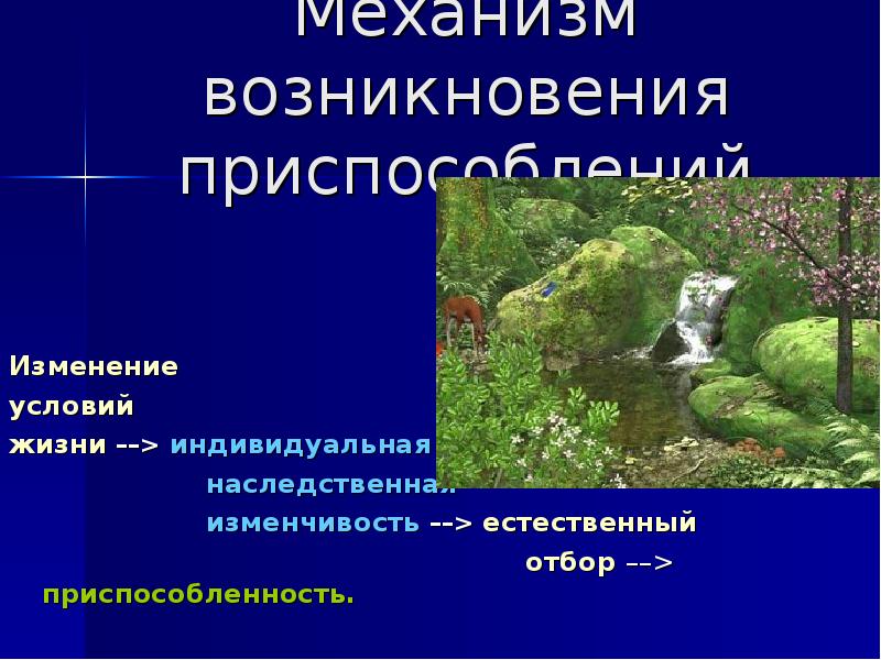 Приспособление к изменениям. Механизм возникновения приспособлений. Приспособленность результат действия факторов эволюции. Механизм возникновения приспособлений у дятла. Приспособления результат действия факторов эволюции.