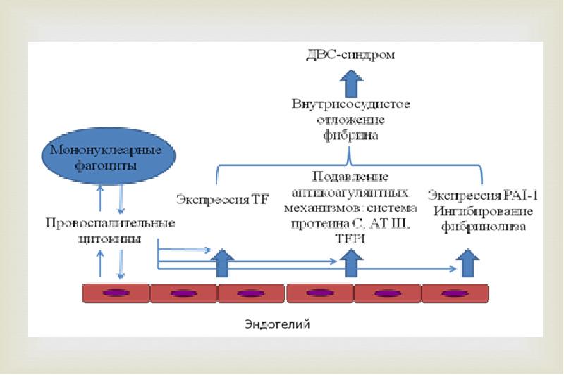 Двс синдром презентация