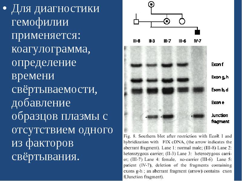 План обследования при гемофилии