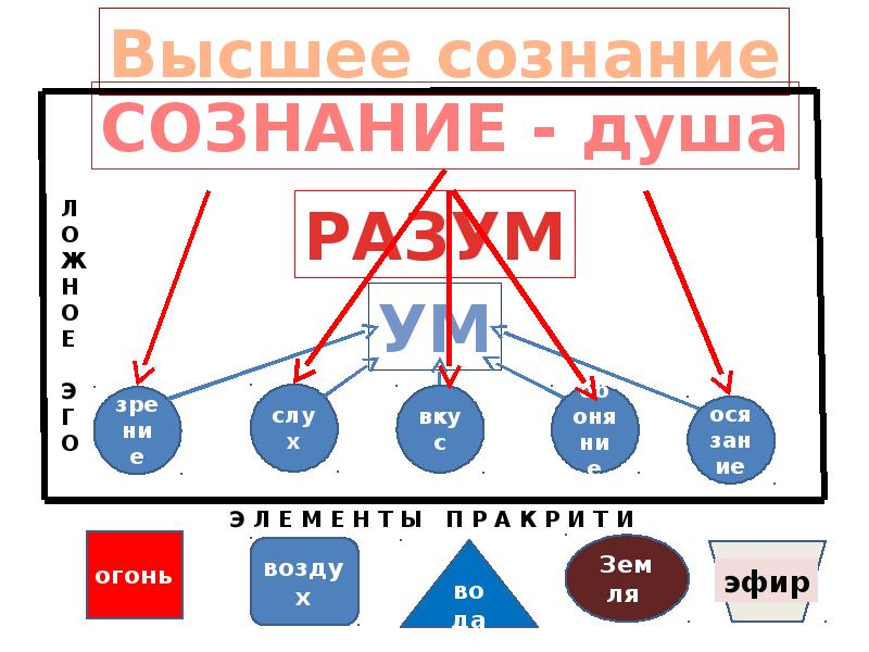 Ложное эго. Истинное эго. Ложное эго и истинное эго. Ум разум и ложное эго веды.