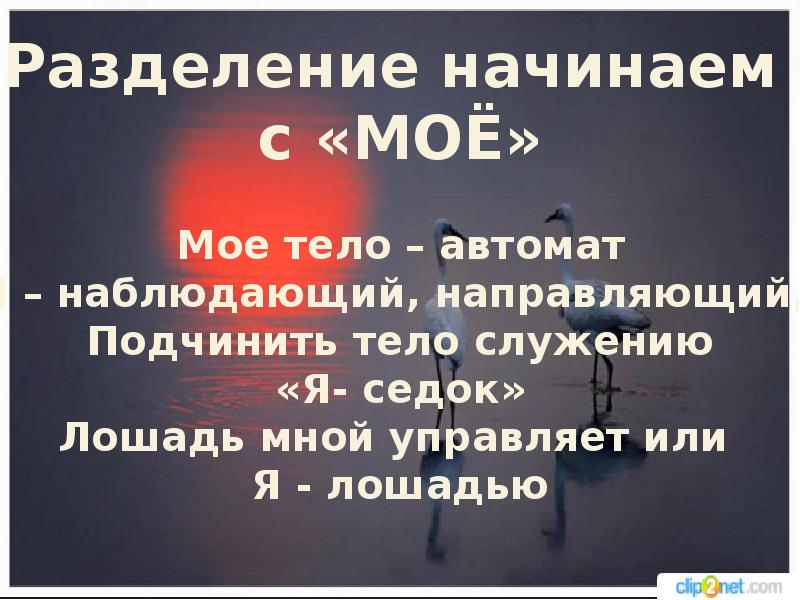 Ложное эго. Ложное эго и истинное эго. Сильное эго картинка. Ложное эго примеры.