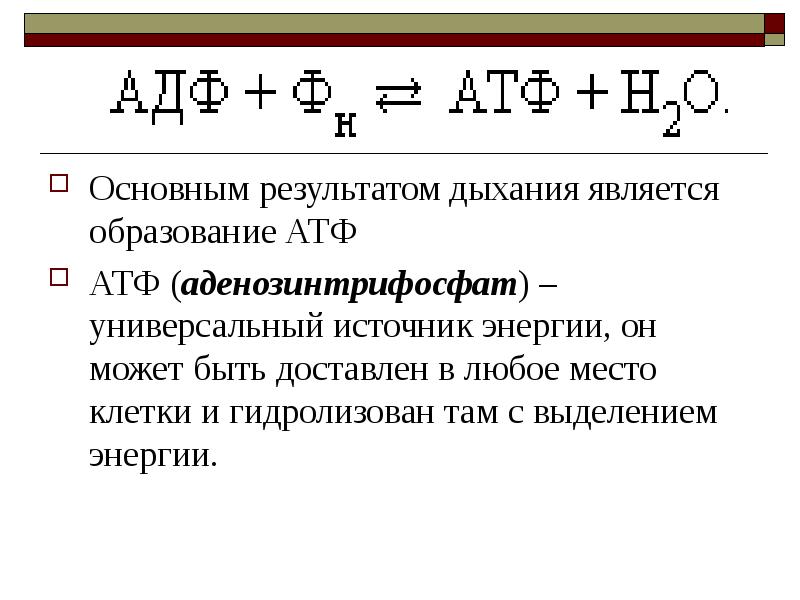 Образование атф. [АТФ]/[АДФ] функции. Образование энергии АТФ. Основные способы образования АТФ. Образование АТФ из АДФ.