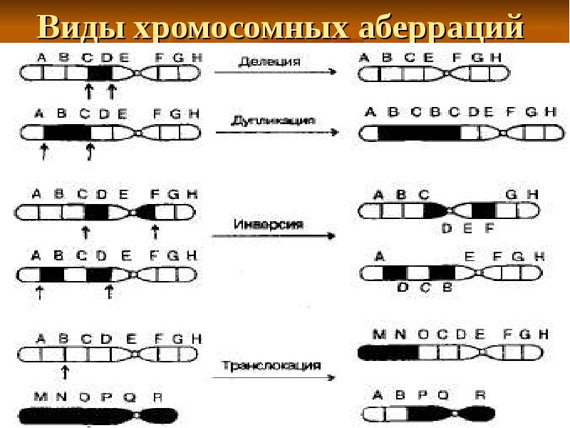 Рассмотрите рисунок определите какие виды мутаций изображены и впишите их названия в соответствии