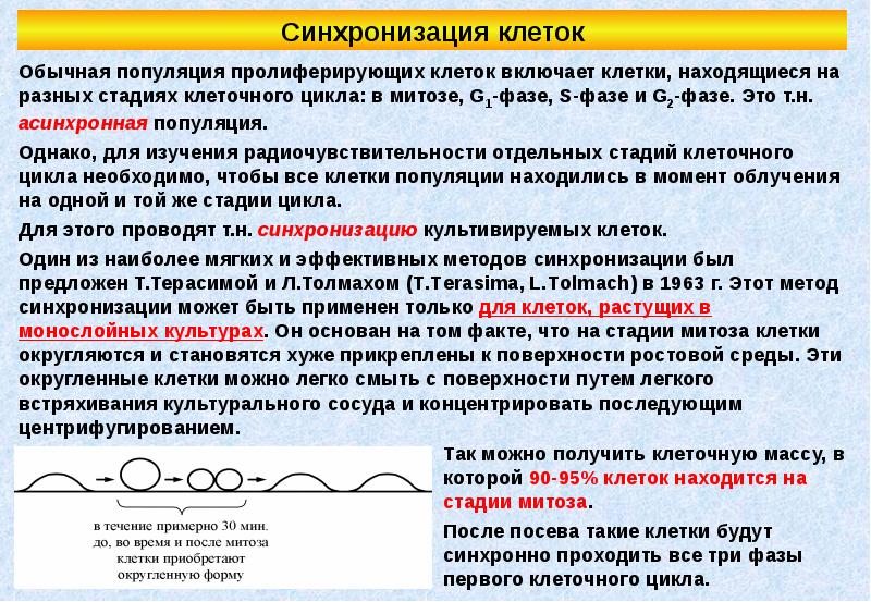 Стохастический эффект излучения