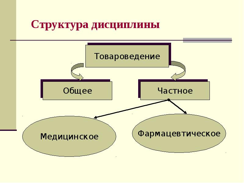 Структура дисциплины Структура дисциплины